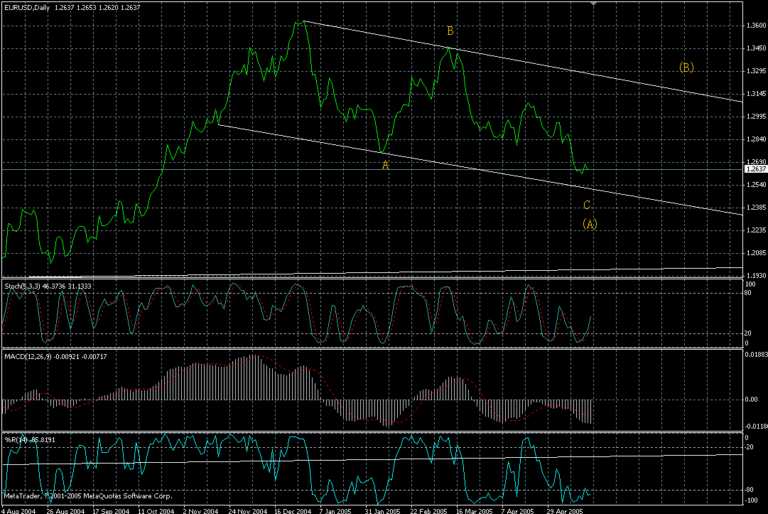 eur-daily-20052005.gif