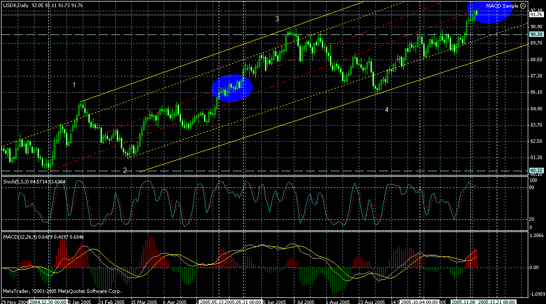 usd-daily-12112005.gif