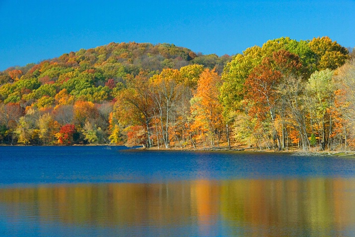 radnor_lake.jpg